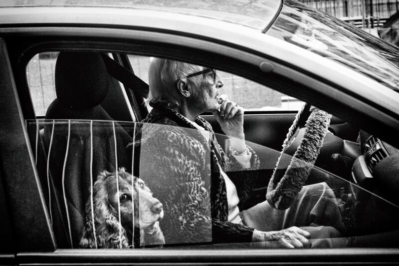 5 assignments for your next photo walk