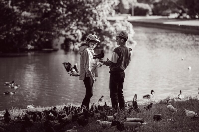 #fotomäng: Empaatia